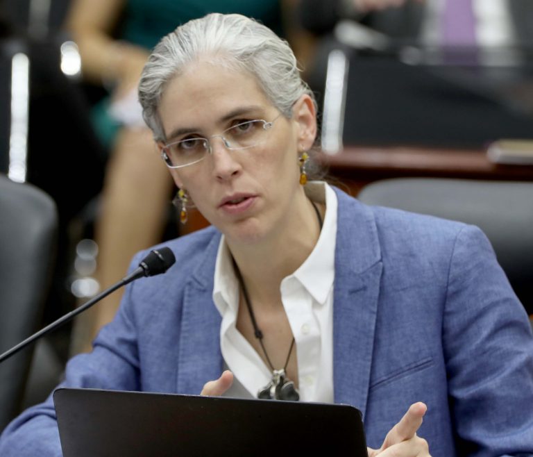 Pamela San Martín Ríos y Valles Consejera Electoral.