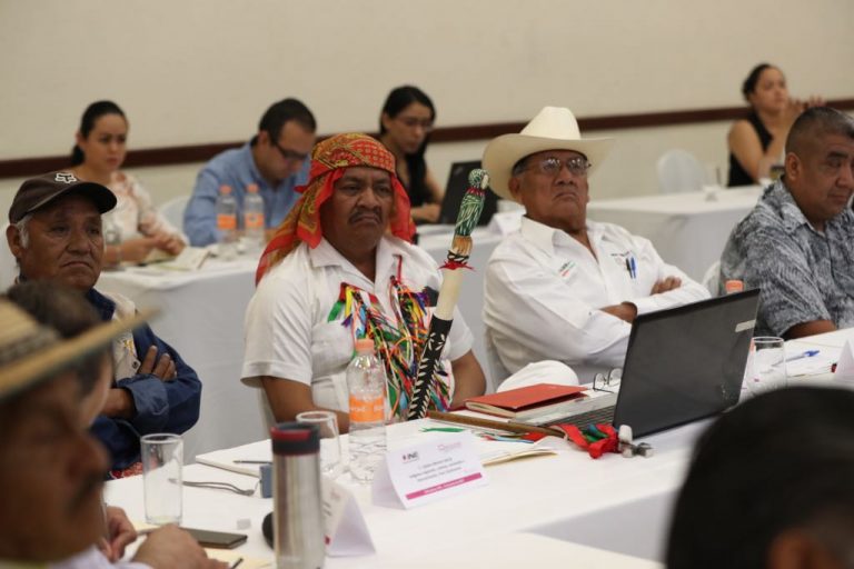 Diálogos sobre representación y participación política de los pueblos y comunidades indígenas.