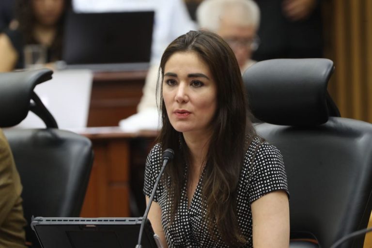 Consejera Electoral Dania Paola Ravel Cuevas.