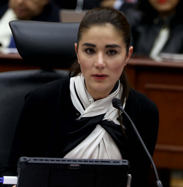 Dania Ravel Cuevas, Consejera Electoral.