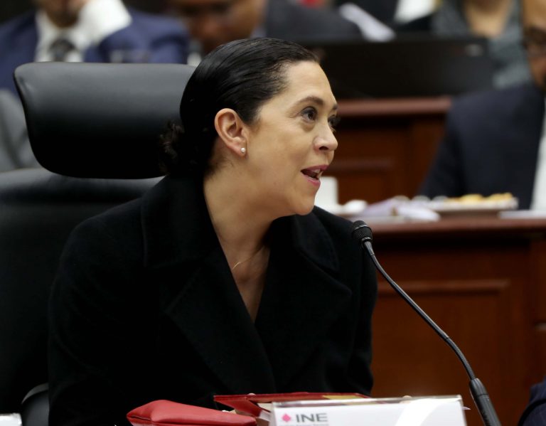 Adriana Favela Herrera Consejera Electoral.