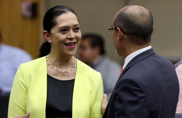 Adriana Favela Herrera y Jaime Rivera Velázquez Consejera y Consejero Electorales.