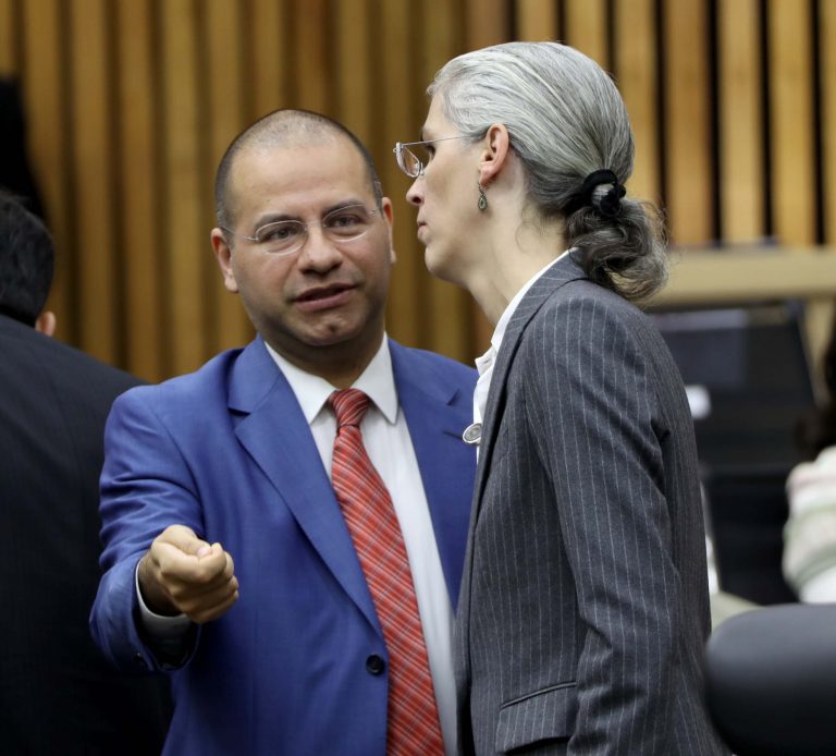 Pamela San Martín Ríos y Valles y Roberto Ruíz Saldaña Consejera y Consejero Electorales.