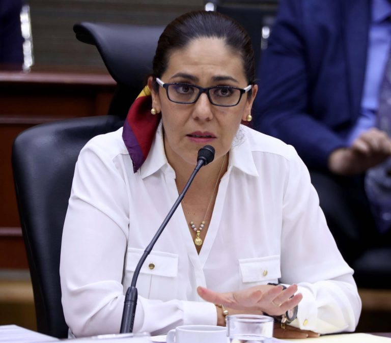 Beatriz Zavala Pérez, Consejero Electoral.