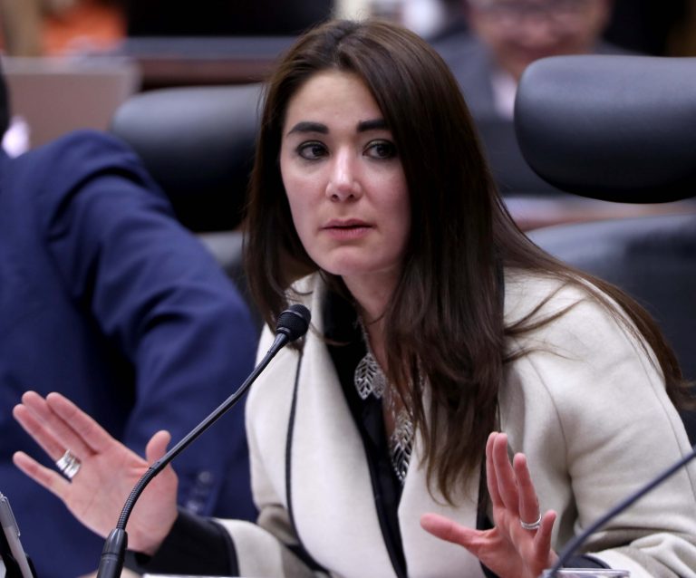 Dania Ravel Cuevas Consejera Electoral.