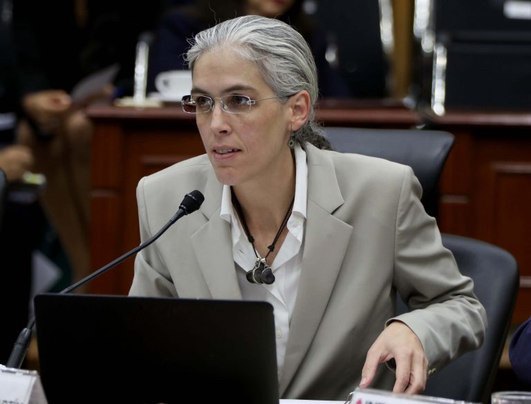 Pamela San Martín Ríos y Valles, Consejera Electoral.