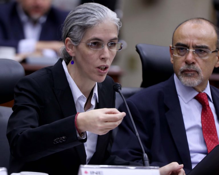 Pamela San Martín Ríos y Valles y Jaime Rivera  Velázquez Consejera y Consejero Electorales.