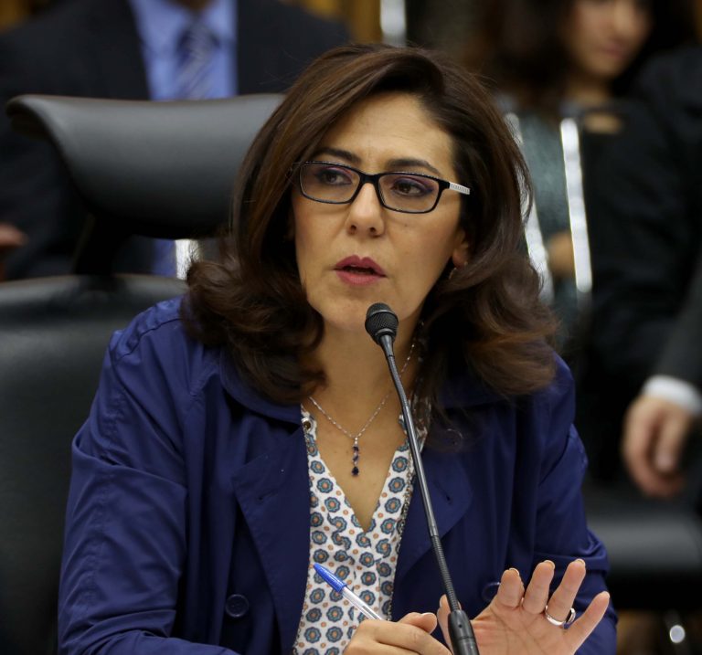 Beatriz Zavala Pérez Consejera Electoral.