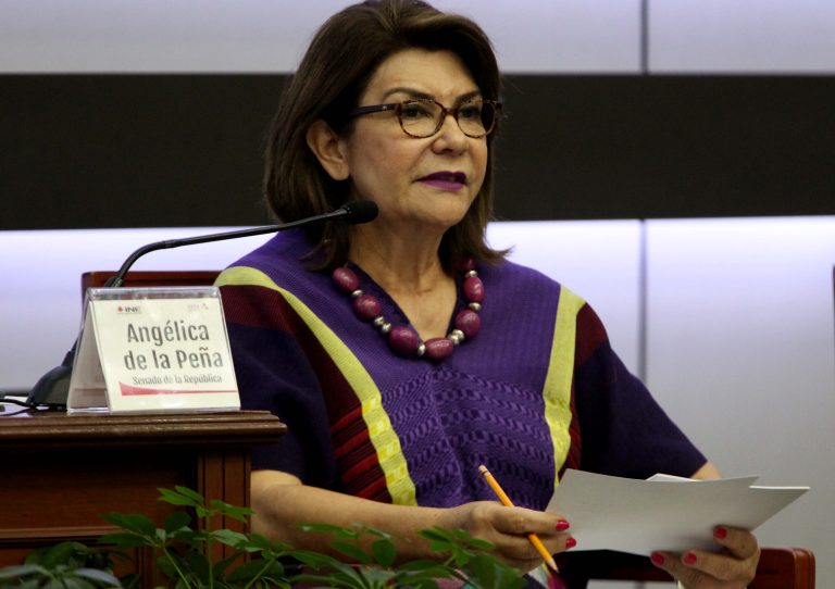 Angélica de la Peña Gómez, Presidenta de la Comisión de Derechos Humanos, Senado de la República.