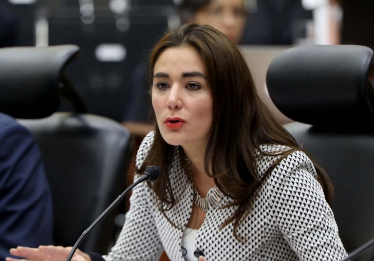 Dania Ravel  Cuevas, Consejera Electoral.