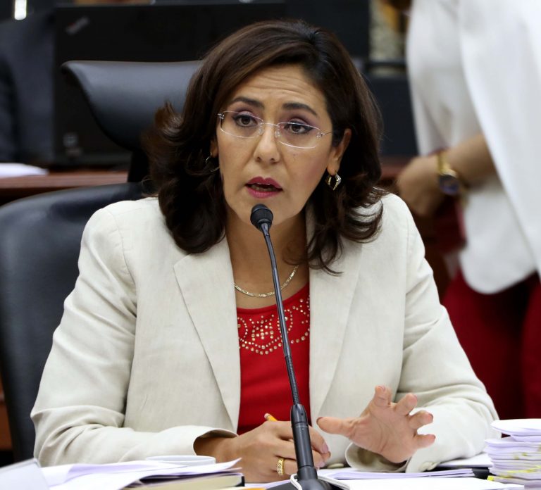 Claudia Zavala Pérez, Consejera Electoral.