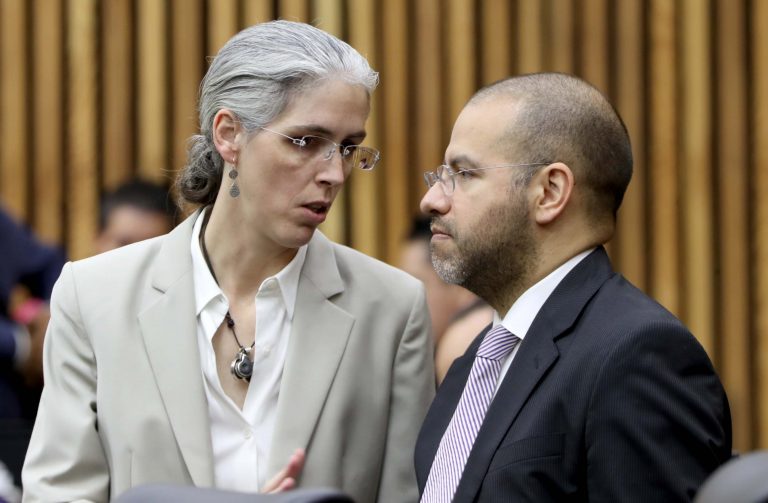 Pamela San Martín Ríos y Valles y Roberto Ruíz Saldaña, Consejera y Consejero Electorales.