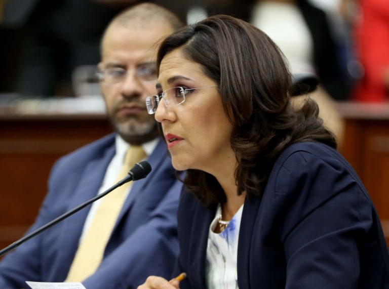 Roberto Ruíz Saldaña y Beatriz Zavala Pérez Consejera y Consejero Electorales.