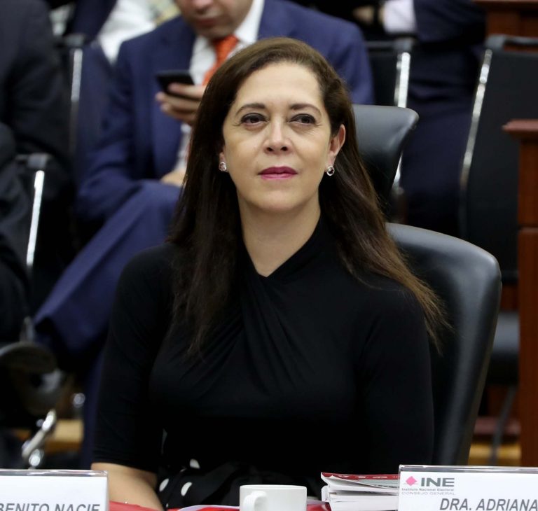 Adriana Favela Herrera, Consejera Electoral.