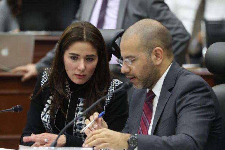 Dania Ravel Cuevas y Roberto Ruíz Saldaña Consejera y Consejero Electorales.