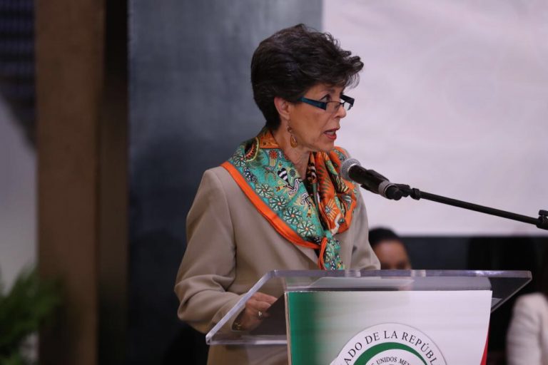 Janine M. Otálora Malassis, Presidenta de la Sala Superior del TEPJF.