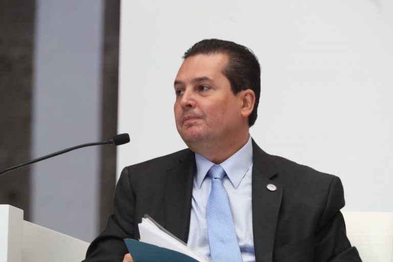 Francisco Javier Guerrero Aguirre, Secretario para el Fortalecimiento Democrático de la OEA.