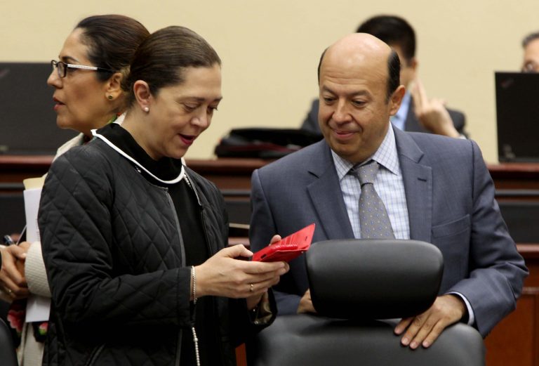 Adriana Favela Herrera y Enrique Andrade González Consejera y Consejero Electorales.