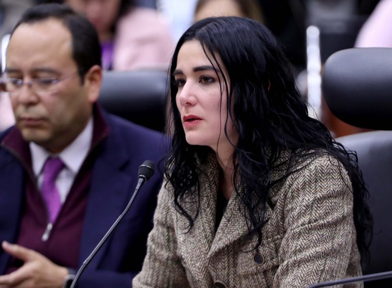 Consejera Electoral Dania Paola Ravel Cuevas