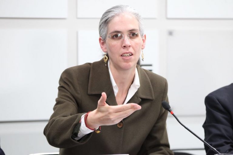 Pamela San Martín Ríos y Valles, Consejera Electoral.