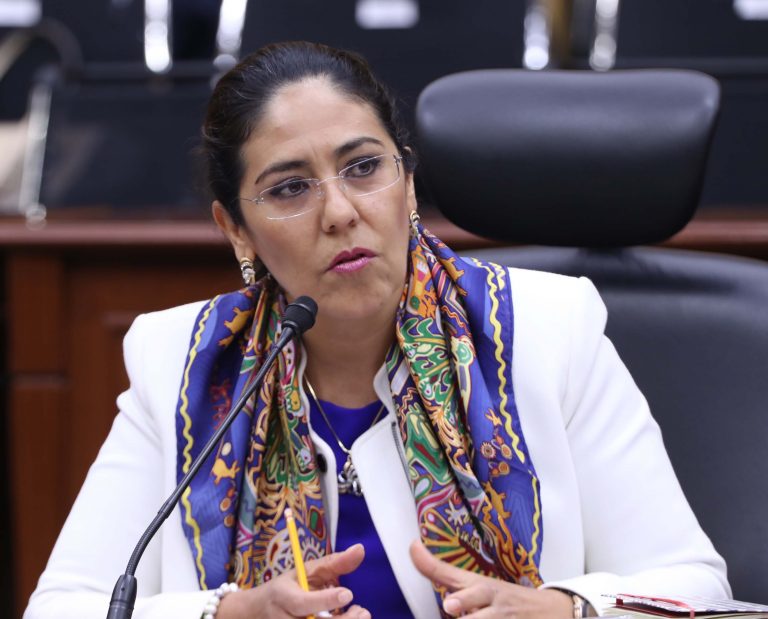 Claudia Zavala Pérez, Consejera Electoral.