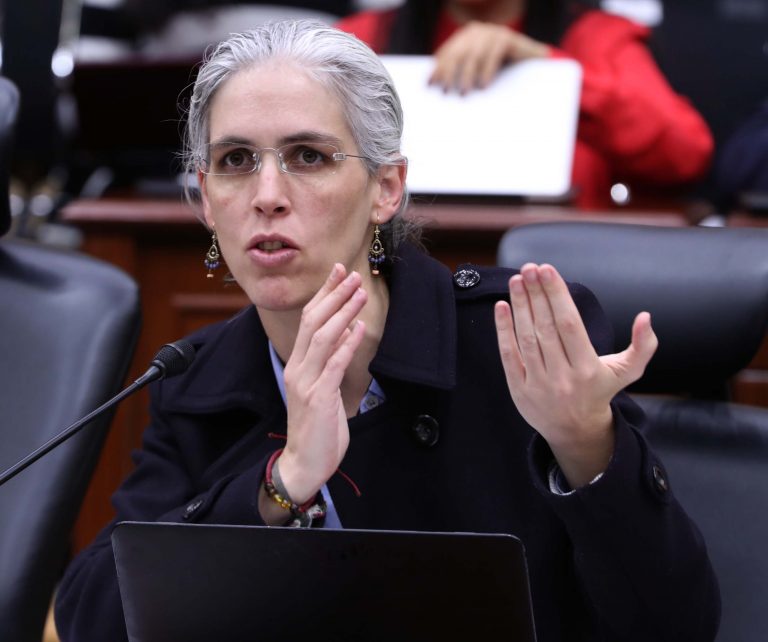 Pamela San Martín Ríos y Valles, Consejera Electoral.