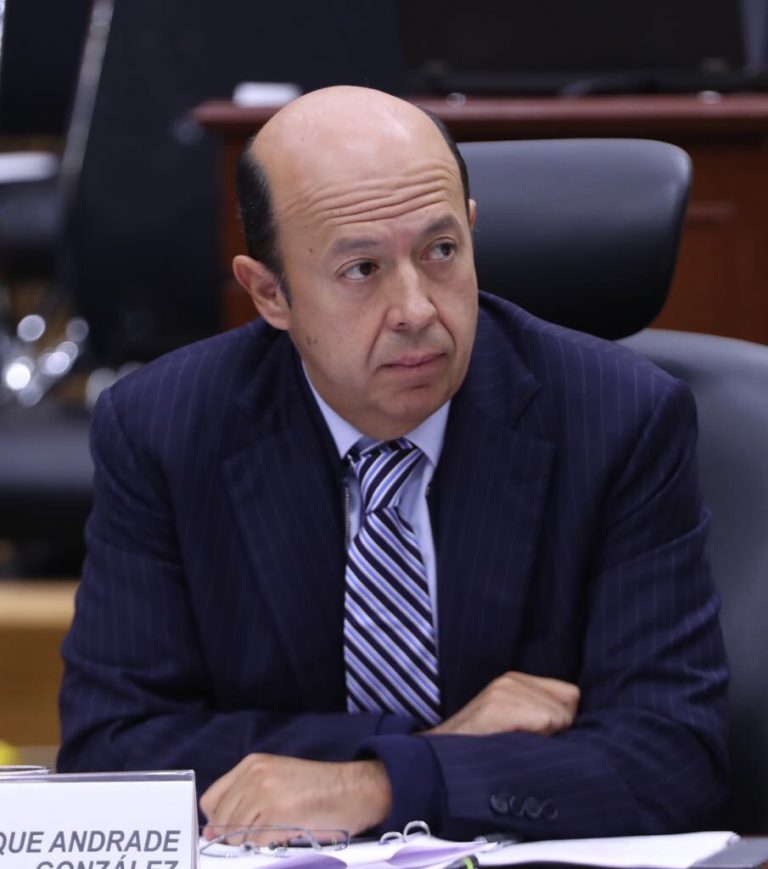 Enrique Andrade González, Consejero Electoral.