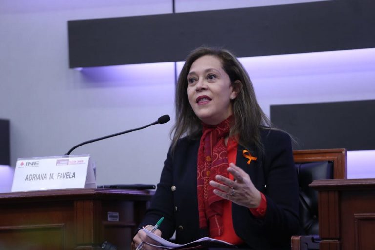 Adriana Favela Herrera, Consejera Electoral del INE.