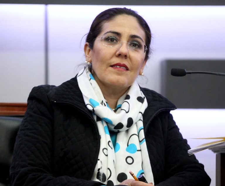 Beatriz Claudia Zavala Pérez, Consejera Electoral