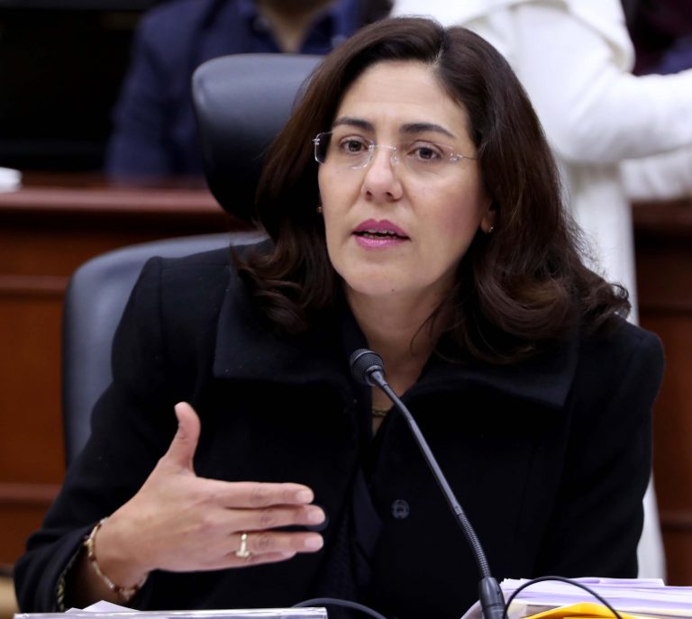 Claudia Zavala Pérez, Consejera Electoral.