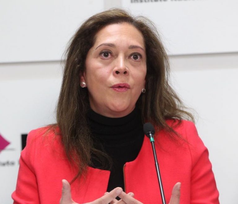 Adriana Favela Herrera, Consejera Electoral.