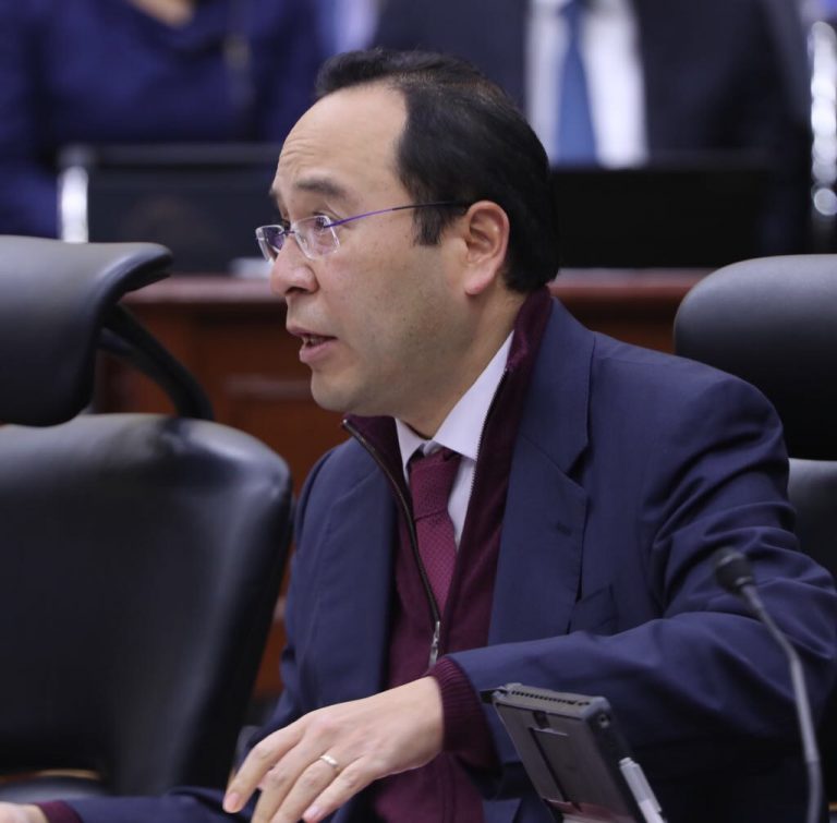 Ciro Murayama Rendón, Consejero Electoral.