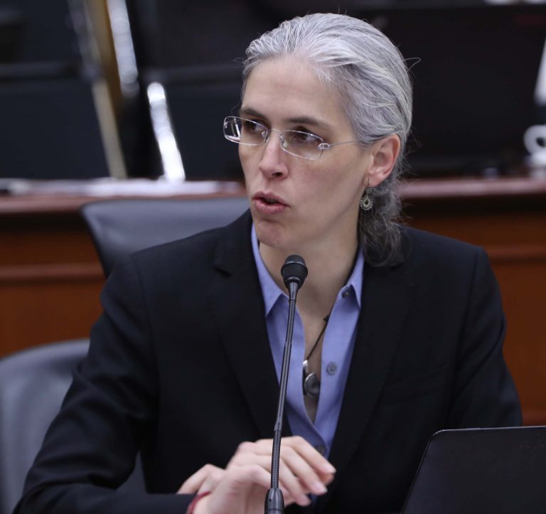 Pamela San Martín Ríos y Vallles, Consejera Electora.