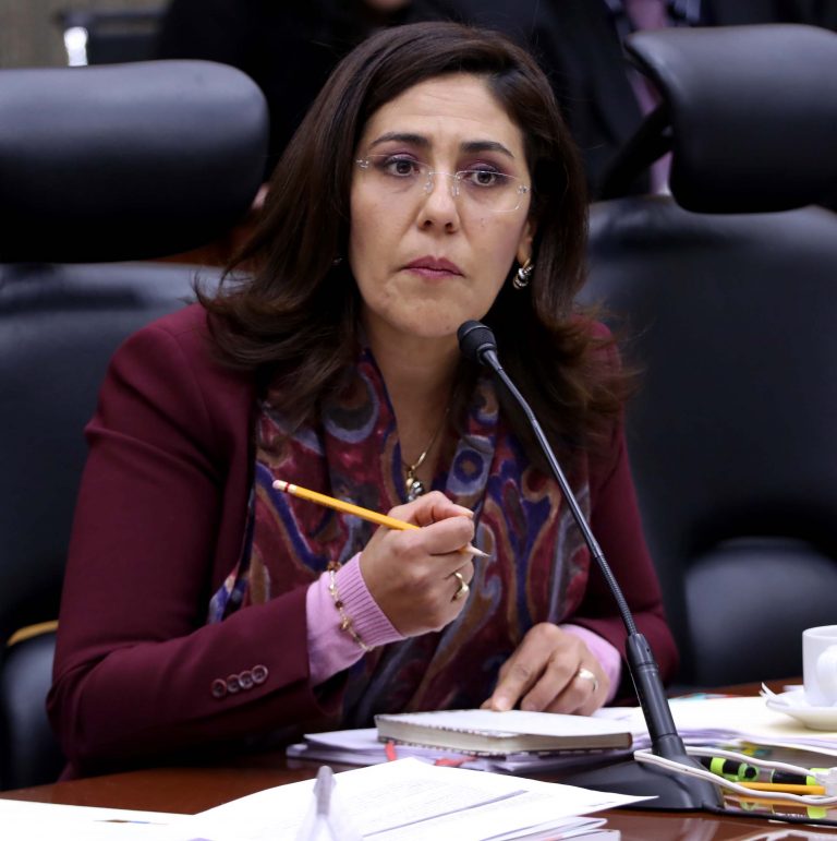 Clauida Zavala Pérez, Consejera Electoral.