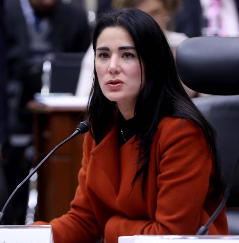 Dania Ravel Cuevas, Consejera Electora.