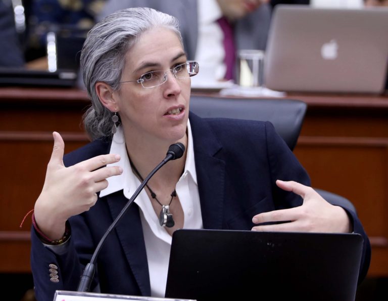 Pamela San Martín Ríos y Valles Consejera Electoral.