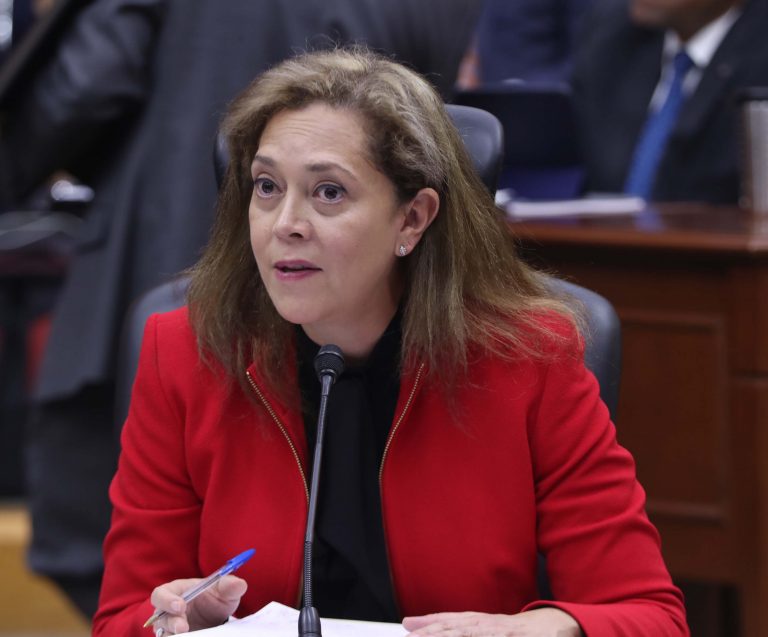 Adriana Favela Herrera, Consejera Electoral.