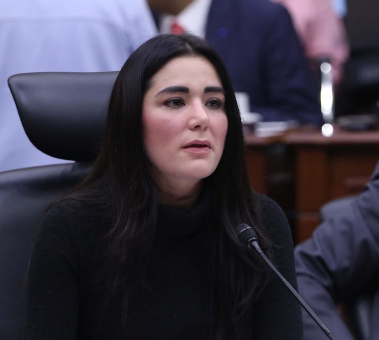 Dania Ravel cuevas, Consejera Electoral.