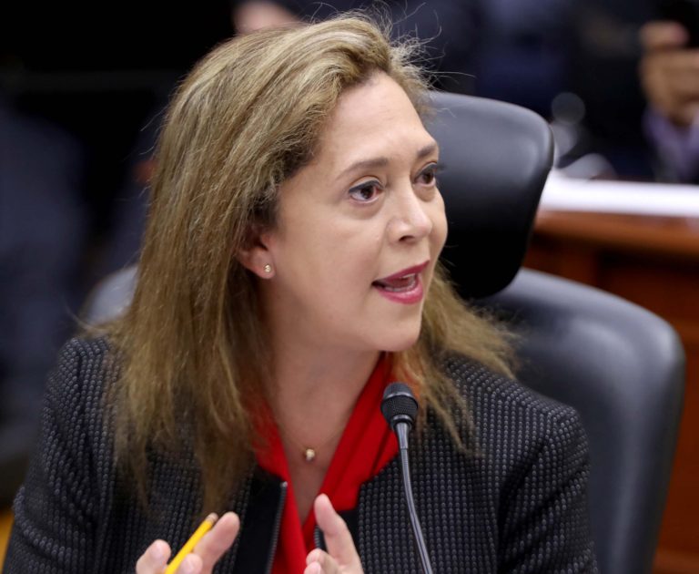 Adrian Favela Herrera, Consejera Electoral.