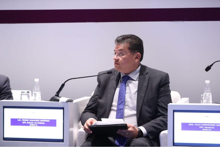 Pedro Zamudio Godínez, OPL Edo. Mex.