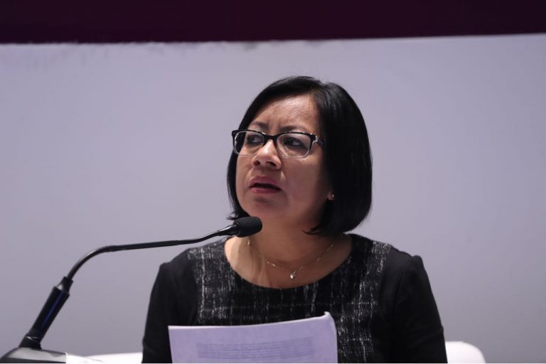 Julia Hernández García, OPL Veracruz