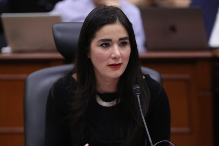 Dania Ravel Cuevas, Consejera Electoral.