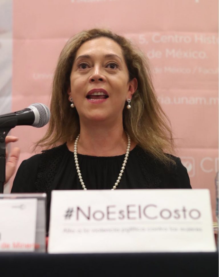 Adriana Favela Herrera, Consejera Electoral del INE.