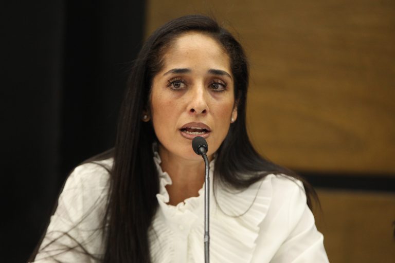 Mónica Maccise Dir. de la Unidad Técnica de Igualdad de Género