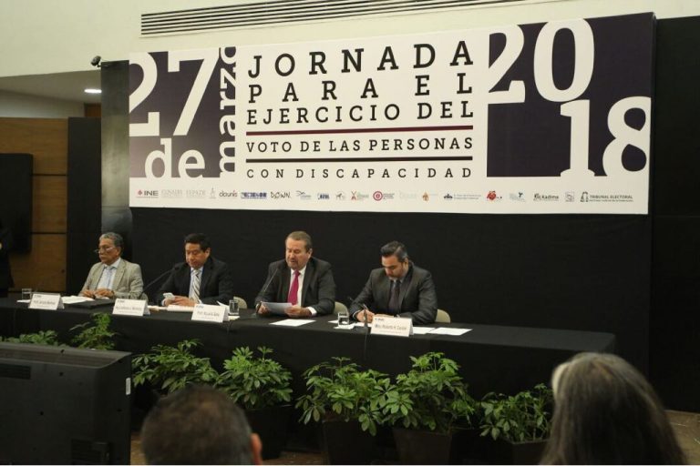 Jornada para un ejercicio efectivo del voto de personas con discapacidad  .