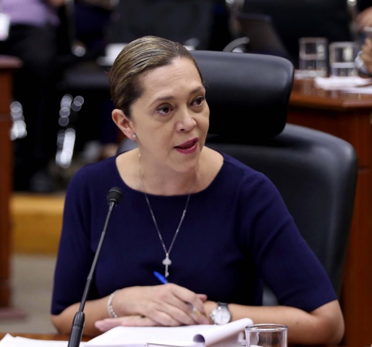 Adriana Favela Herrera, Consejera Electoral.