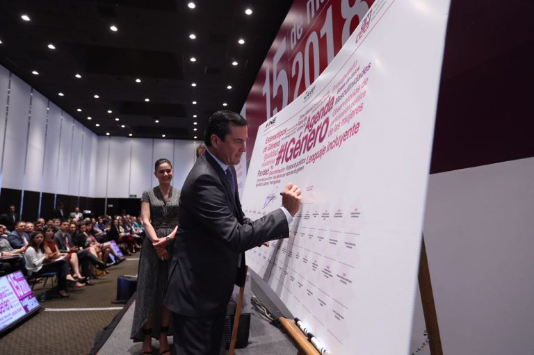 Adopción de la Agenda para la Igualdad de Género en el Sistema Electoral Nacional.