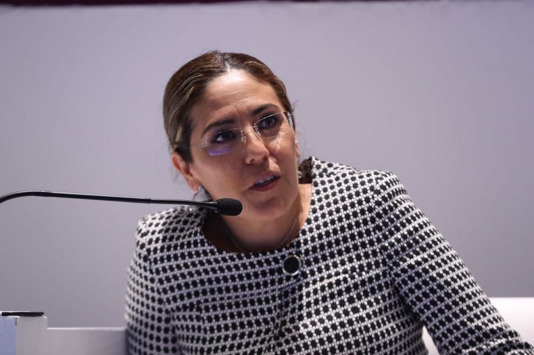 Claudia Zavala Pérez, Consejera Electoral
