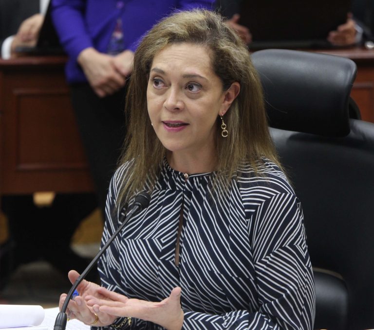 Adriana Favela Herrera, Consejera Electoral.