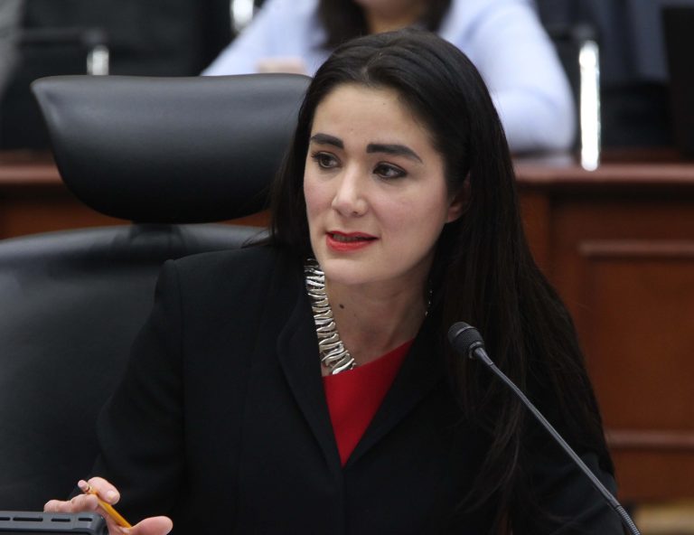 Dania Ravel Cuevas, Consejera Electoral